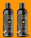 Unisex Instant Black Herbal Hair Dye Shampoo for Grey Hair Coverage Shampoo 3 in 1(100ml) Pack Of 2